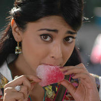 Shriya Saran new pictures | Picture 47181
